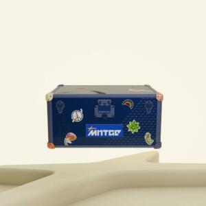 Mntge-Trunk.png