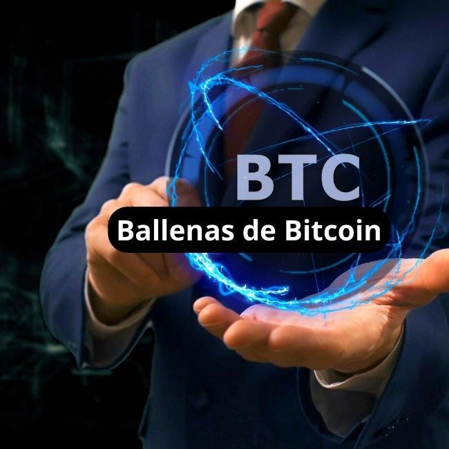 ballenas